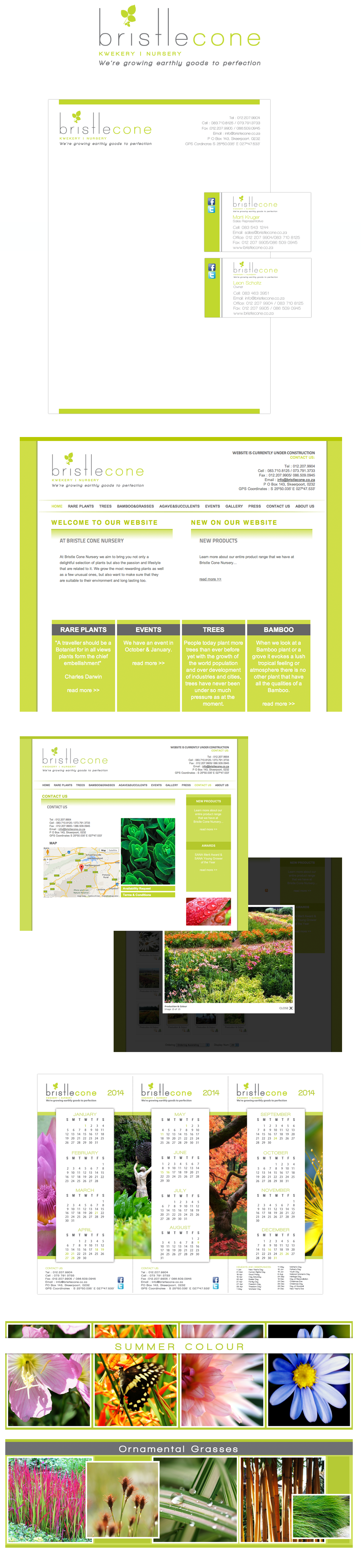 Bristle Cone Nursery Corporate ID